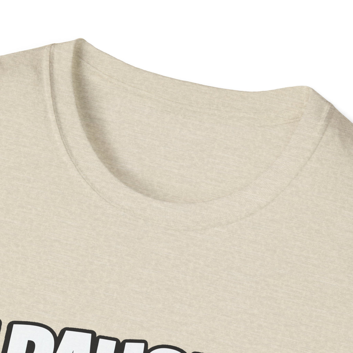 I Paused My Game To Be Here — Grumpy Gamer Armchair Graphic Unisex Softstyle T-Shirt