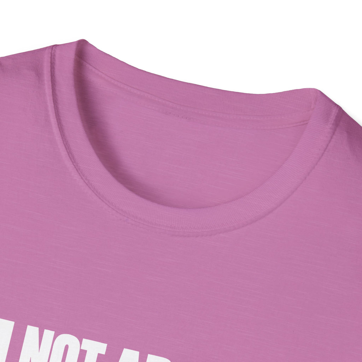I'm Not Arguing, I'm Just Explaining Why I'm Right — Bold Statement Graphic Unisex Softstyle T-Shirt