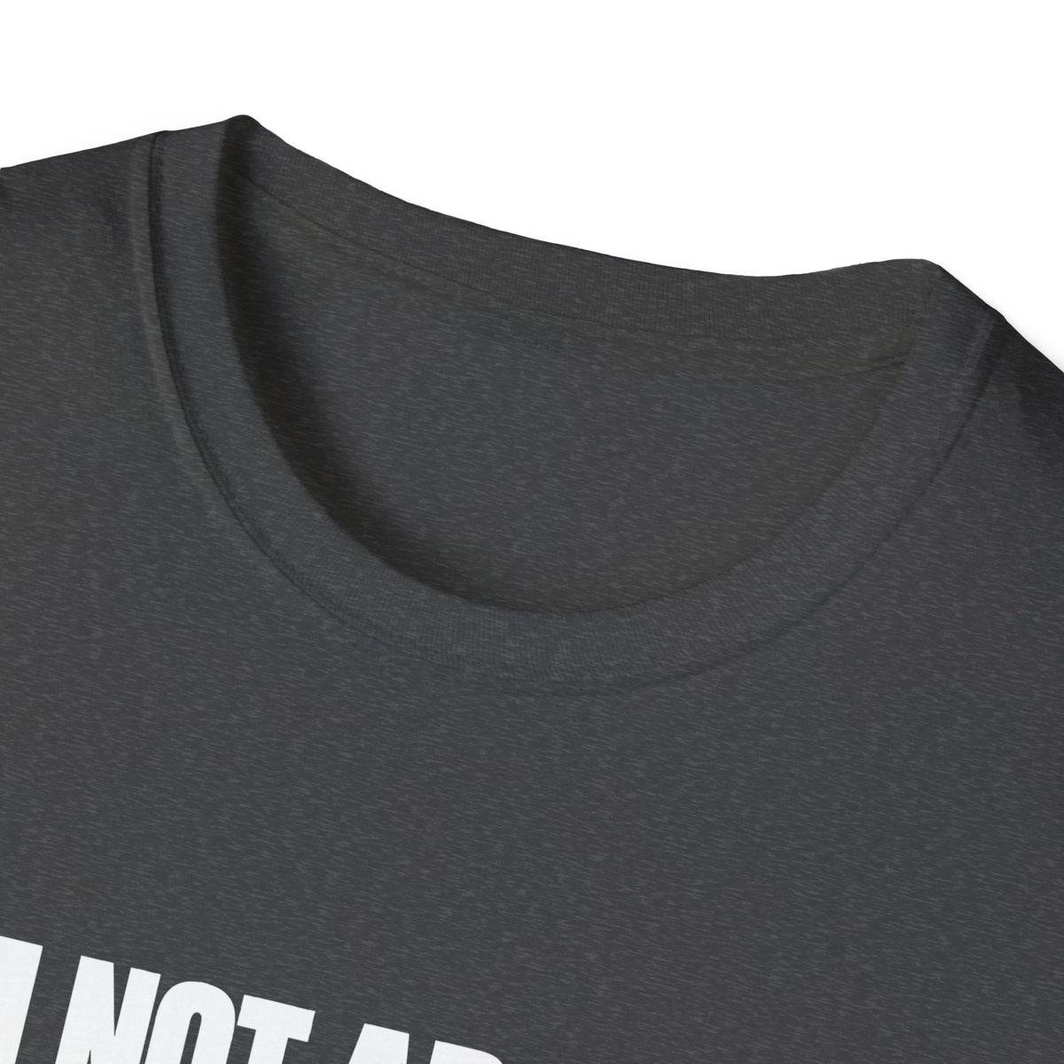 I'm Not Arguing, I'm Just Explaining Why I'm Right — Bold Statement Graphic Unisex Softstyle T-Shirt