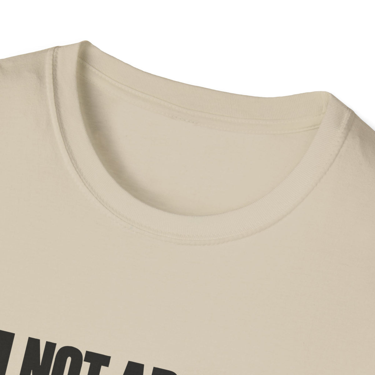 I'm Not Arguing, I'm Just Explaining Why I'm Right — Bold Statement Graphic Unisex Softstyle T-Shirt