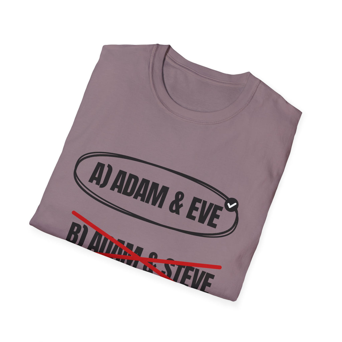 Adam & Eve Not Adam & Steve - God's Creation Order (Genesis 1:27 & 2:24 KJV) Unisex Softstyle T-Shirt