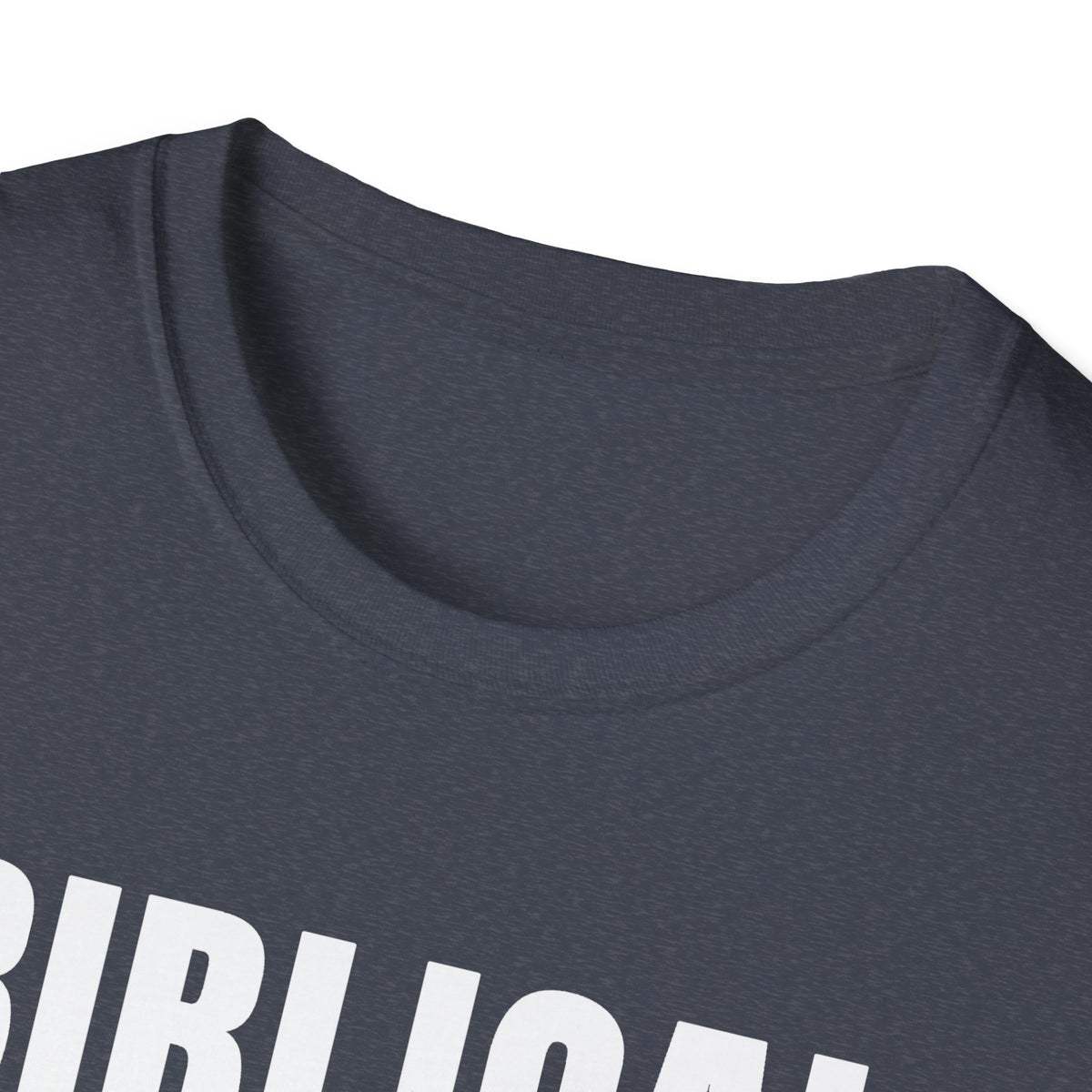 Biblical Order Not Feminism - 1 Corinthians 11:3 & Ephesians 5:22-24 (KJV) Unisex Softstyle T-Shirt