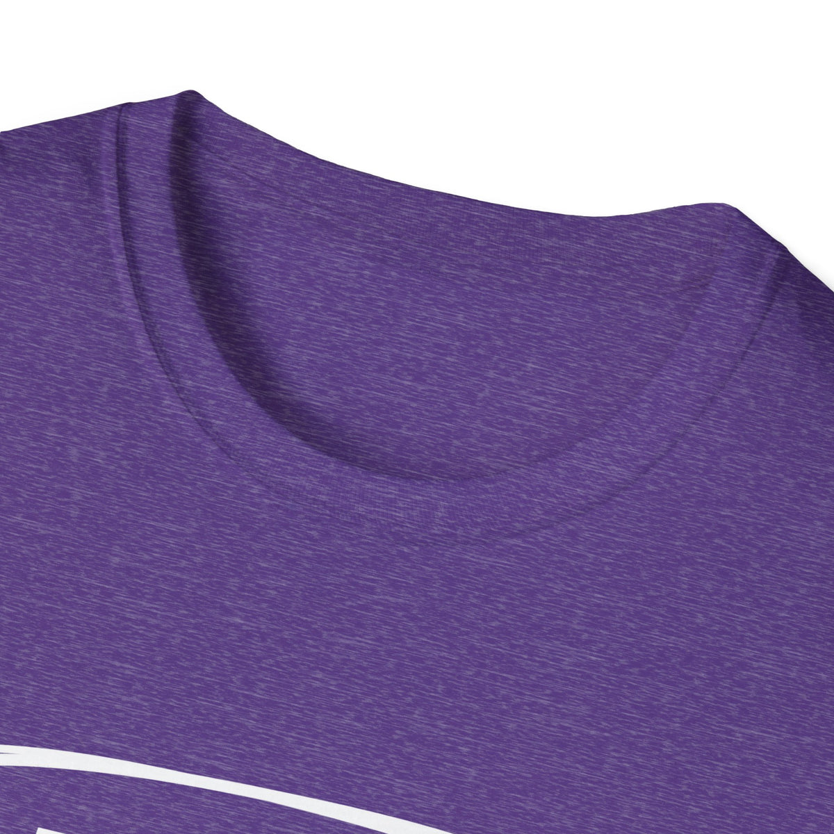 Adam & Eve Not Adam & Steve - God's Creation Order (Genesis 1:27 & 2:24 KJV) Unisex Softstyle T-Shirt
