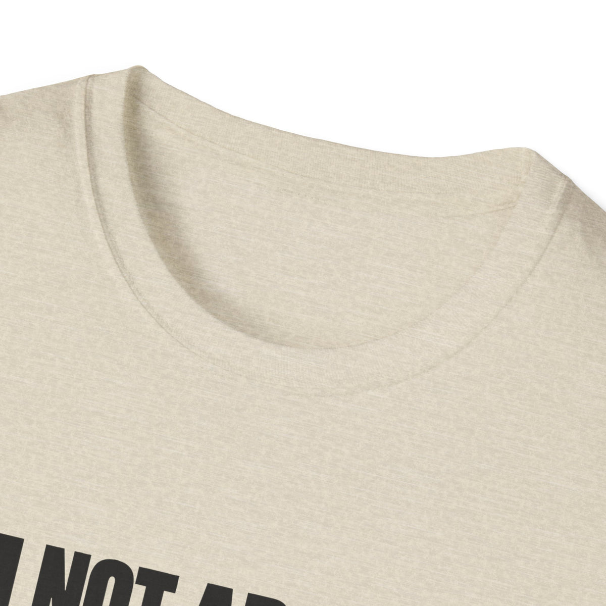 I'm Not Arguing, I'm Just Explaining Why I'm Right — Bold Statement Graphic Unisex Softstyle T-Shirt