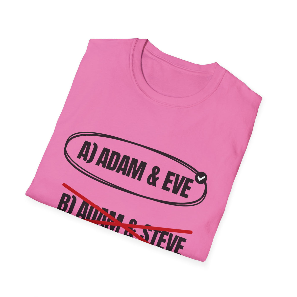 Adam & Eve Not Adam & Steve - God's Creation Order (Genesis 1:27 & 2:24 KJV) Unisex Softstyle T-Shirt