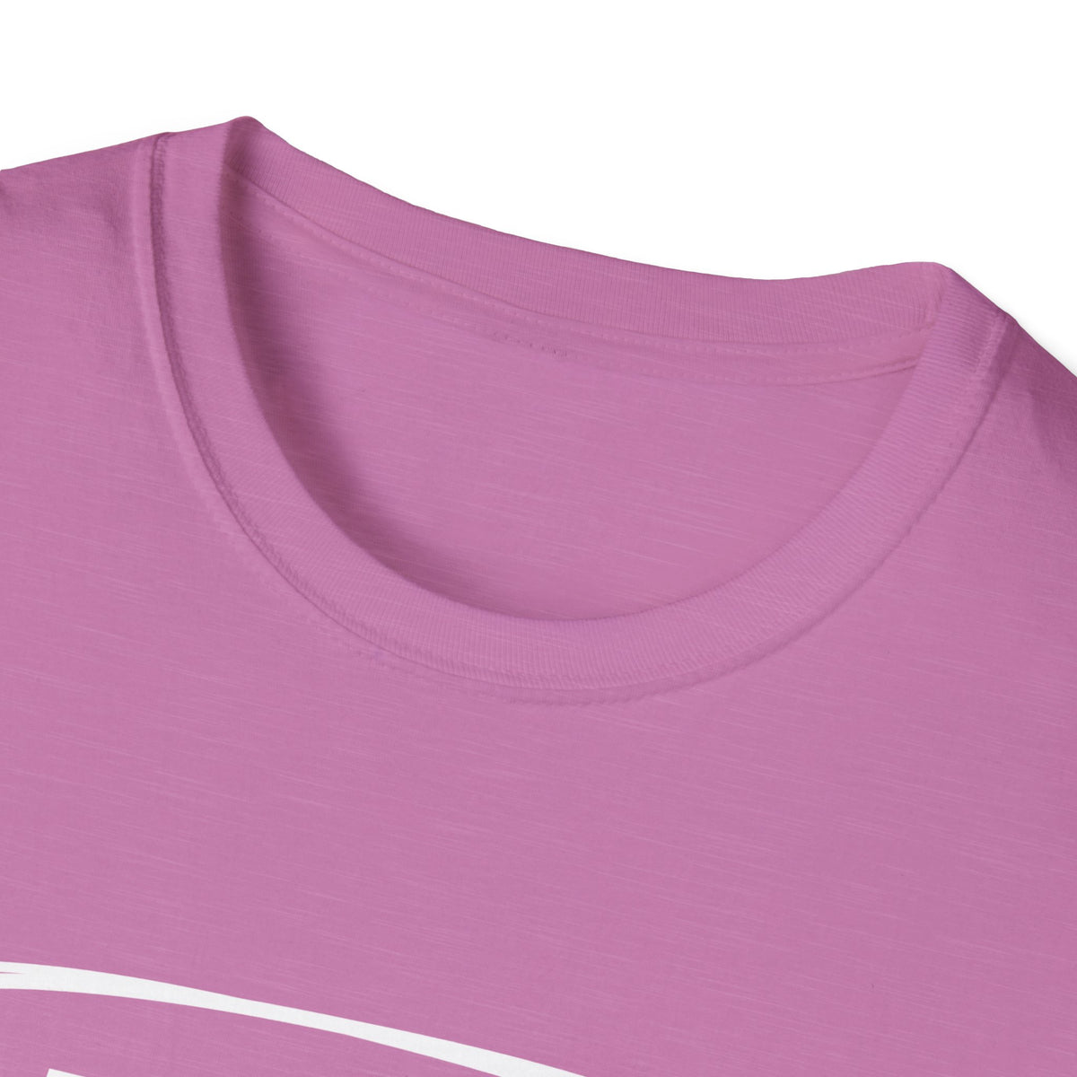 Adam & Eve Not Adam & Steve - God's Creation Order (Genesis 1:27 & 2:24 KJV) Unisex Softstyle T-Shirt