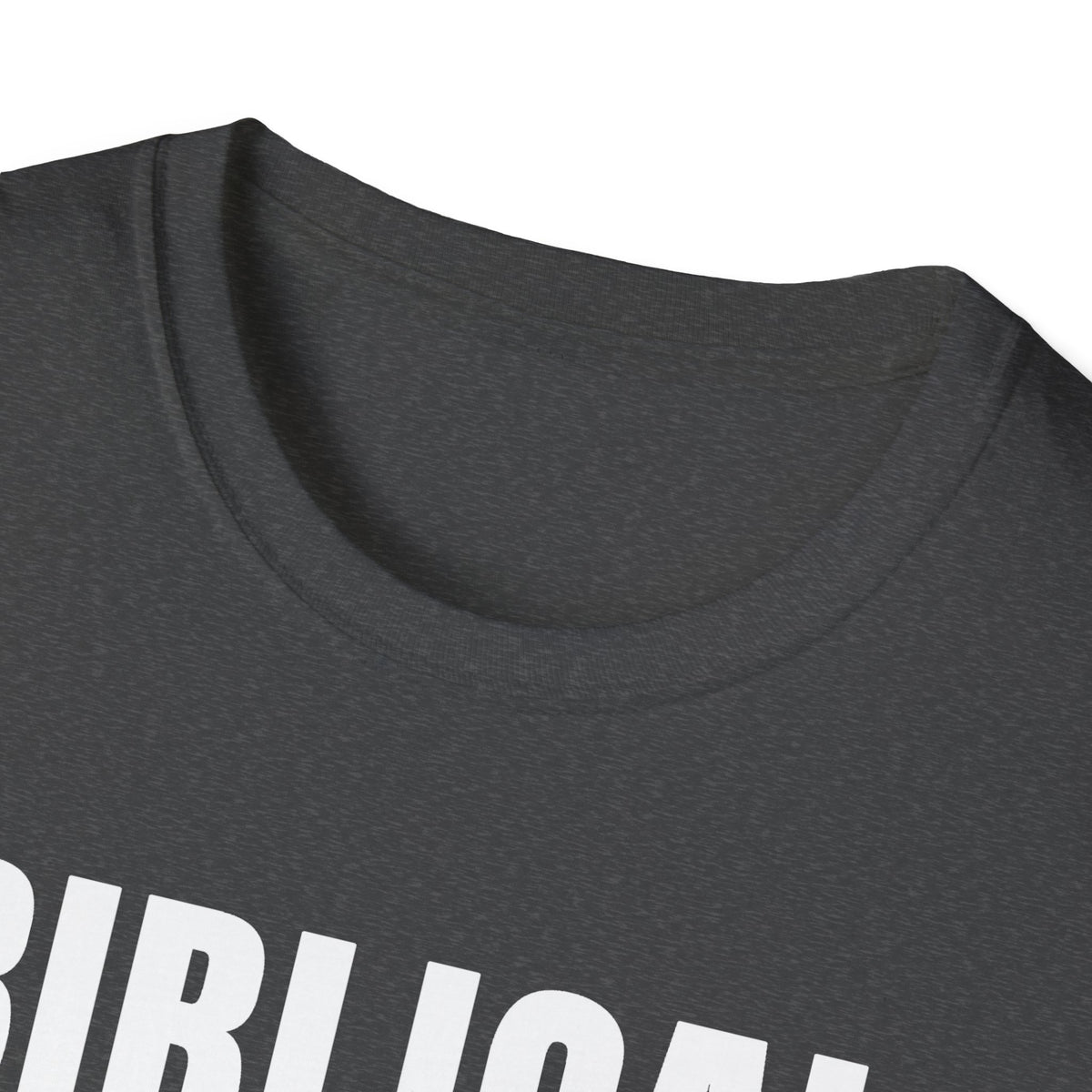 Biblical Order Not Feminism - 1 Corinthians 11:3 & Ephesians 5:22-24 (KJV) Unisex Softstyle T-Shirt