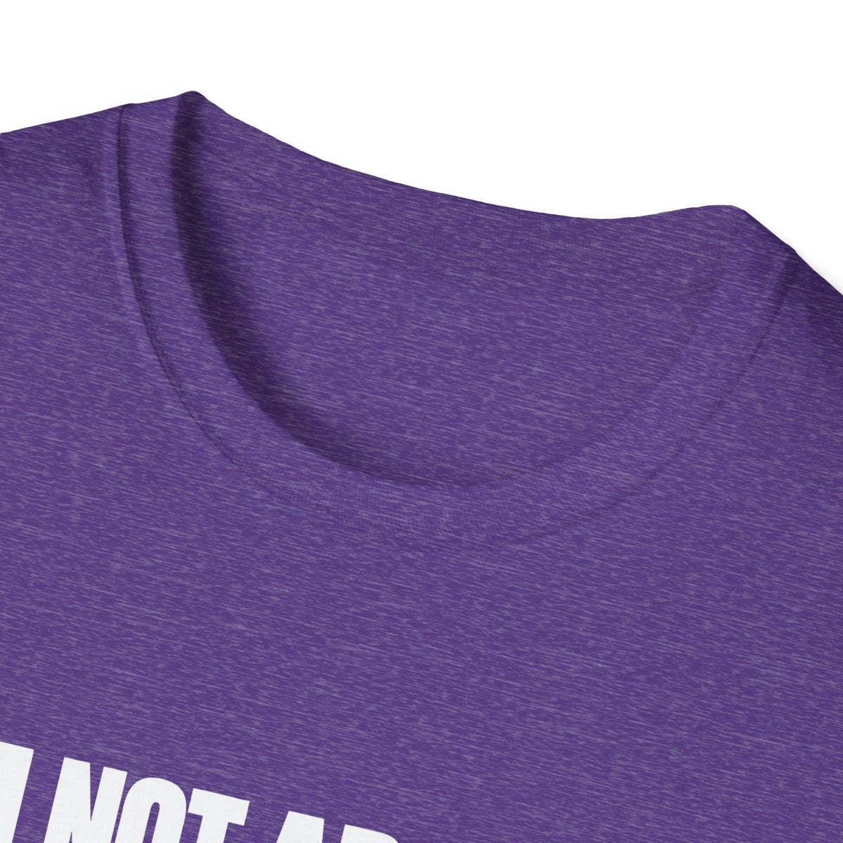 I'm Not Arguing, I'm Just Explaining Why I'm Right — Bold Statement Graphic Unisex Softstyle T-Shirt