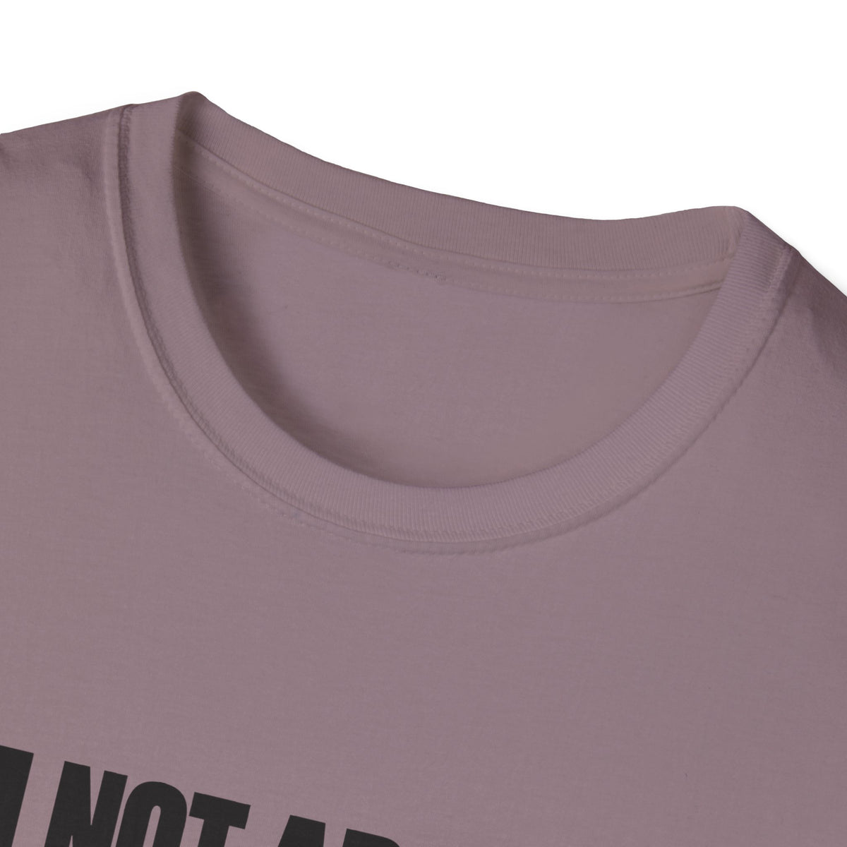 I'm Not Arguing, I'm Just Explaining Why I'm Right — Bold Statement Graphic Unisex Softstyle T-Shirt