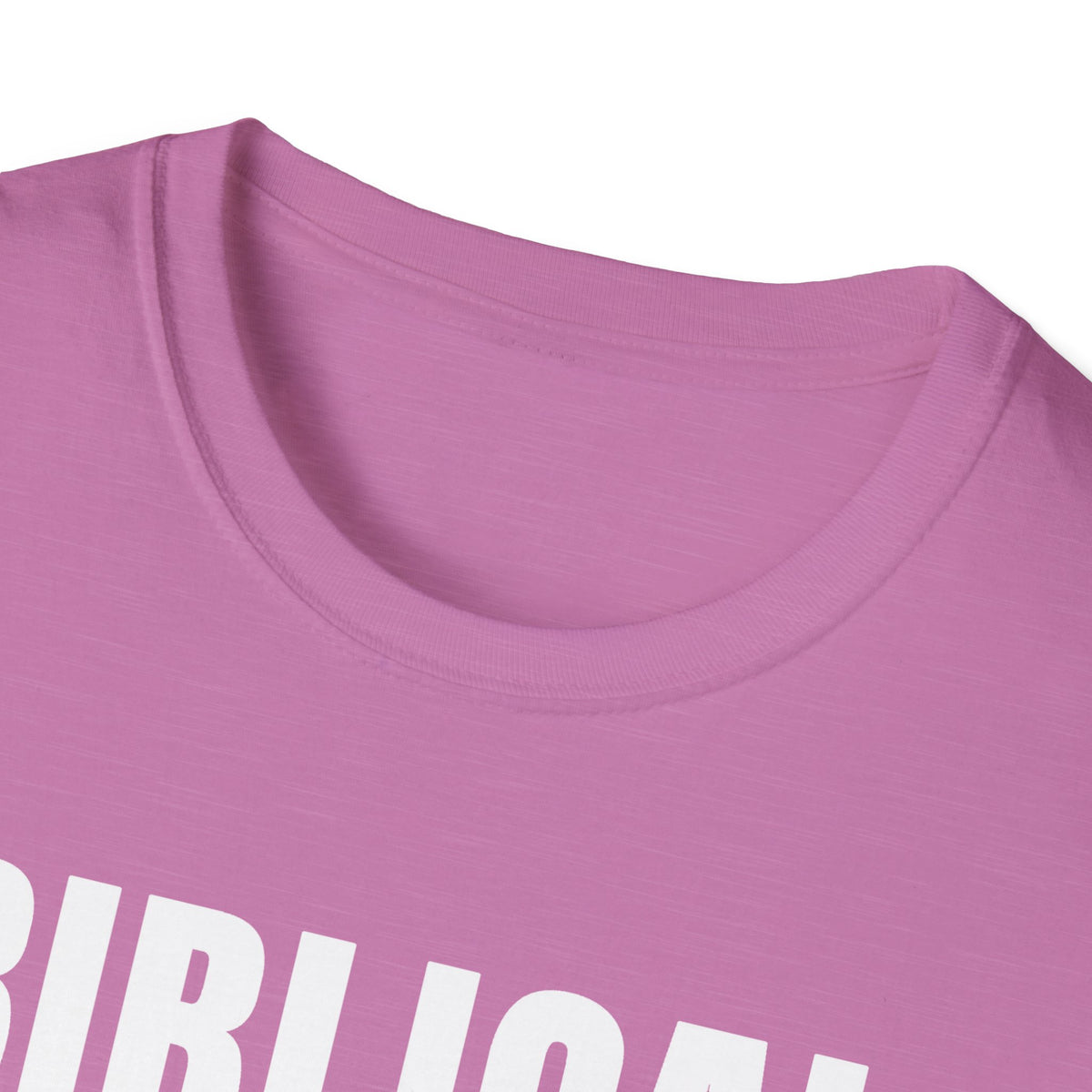 Biblical Order Not Feminism - 1 Corinthians 11:3 & Ephesians 5:22-24 (KJV) Unisex Softstyle T-Shirt