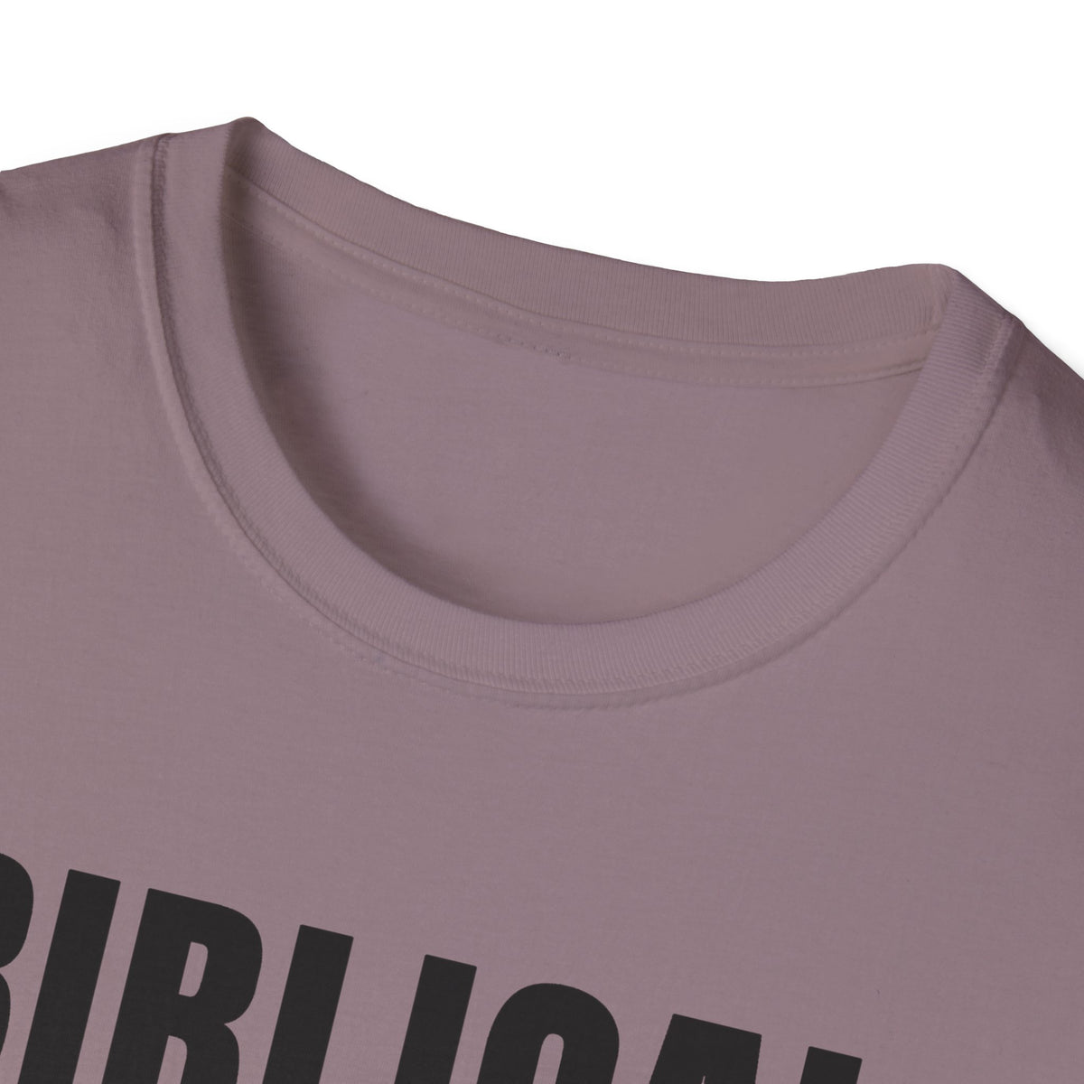 Biblical Order Not Feminism - 1 Corinthians 11:3 & Ephesians 5:22-24 (KJV) Unisex Softstyle T-Shirt