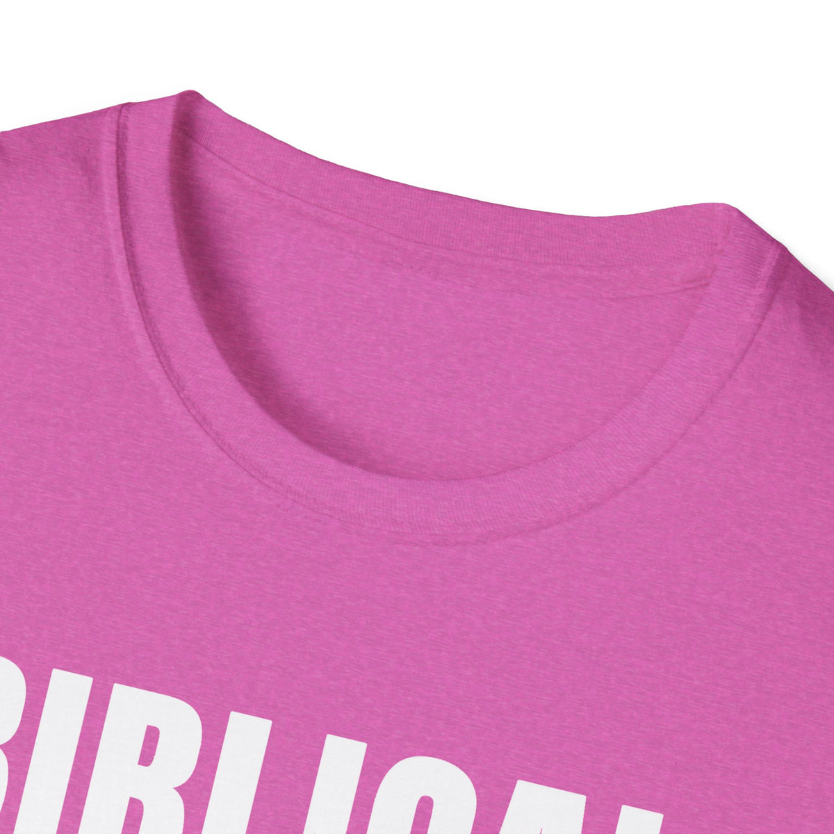 Biblical Order Not Feminism - 1 Corinthians 11:3 & Ephesians 5:22-24 (KJV) Unisex Softstyle T-Shirt