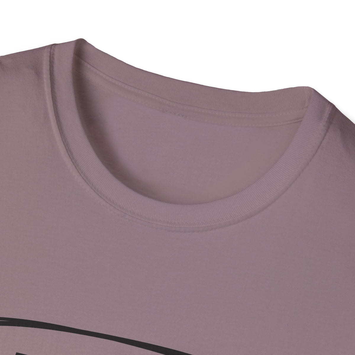 Adam & Eve Not Adam & Steve - God's Creation Order (Genesis 1:27 & 2:24 KJV) Unisex Softstyle T-Shirt