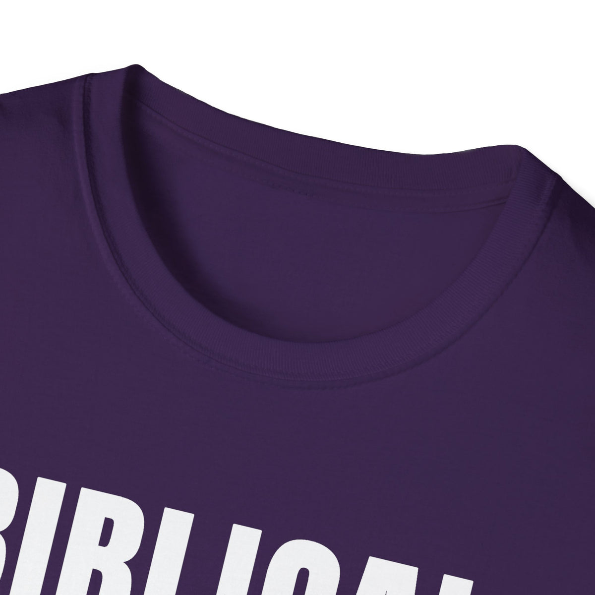 Biblical Order Not Feminism - 1 Corinthians 11:3 & Ephesians 5:22-24 (KJV) Unisex Softstyle T-Shirt